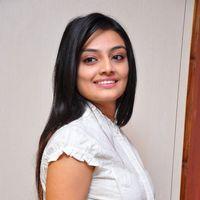 Nikita Narayan at It's My Love Story Movie Preemeet - Pictures | Picture 116714